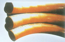 ����ұ��